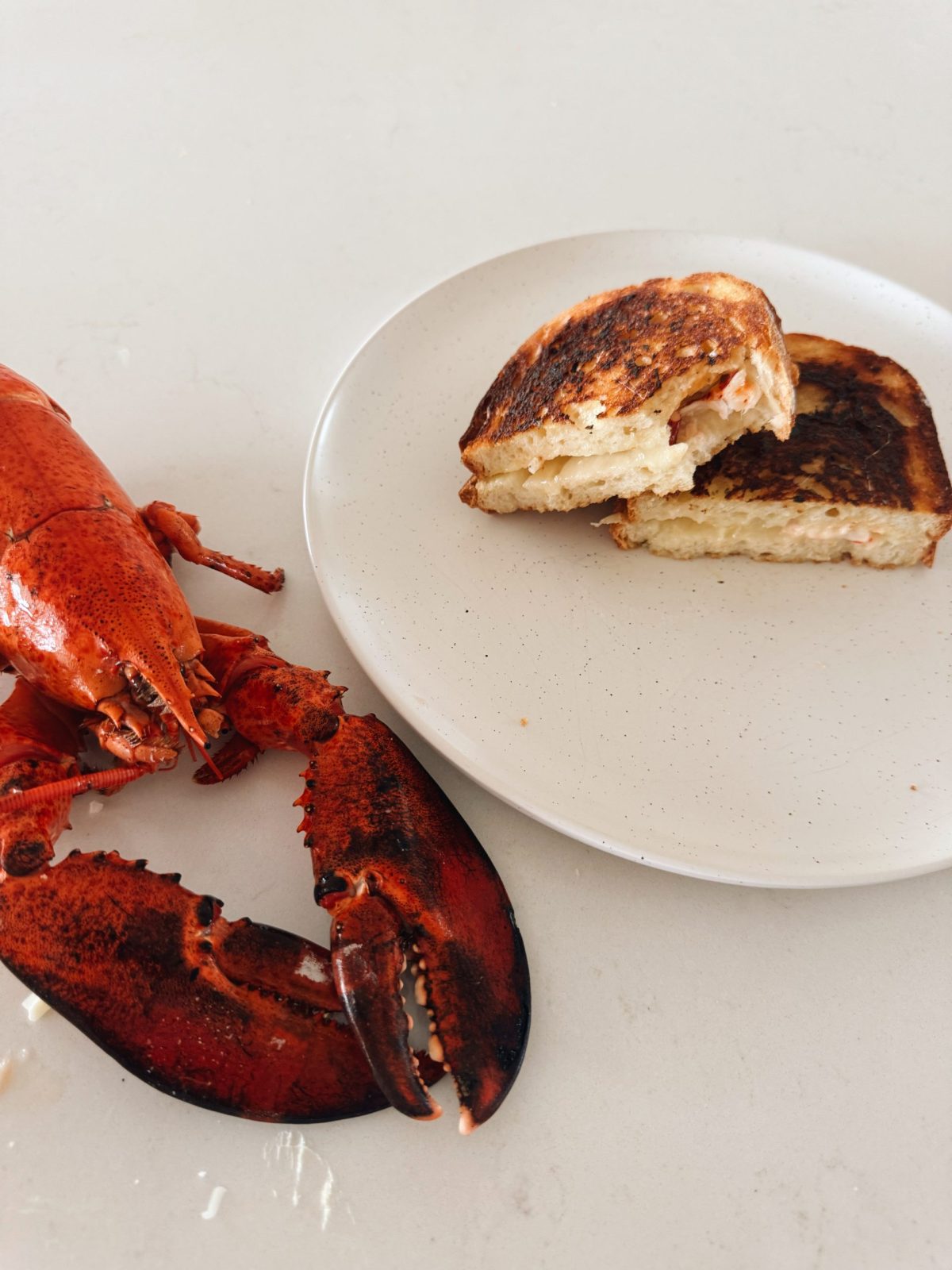 Lobster Grilled Cheese with Garlic Butter