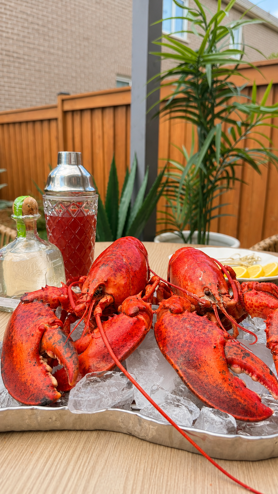 Lobster Caesar Shooters